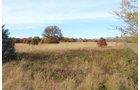 Tract 10 - OKLAHOMA LAND & REAL ESTATE AUCTION, 438 +/- Acres offered in 13 Tracts